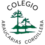 araucarias-cordillera_200